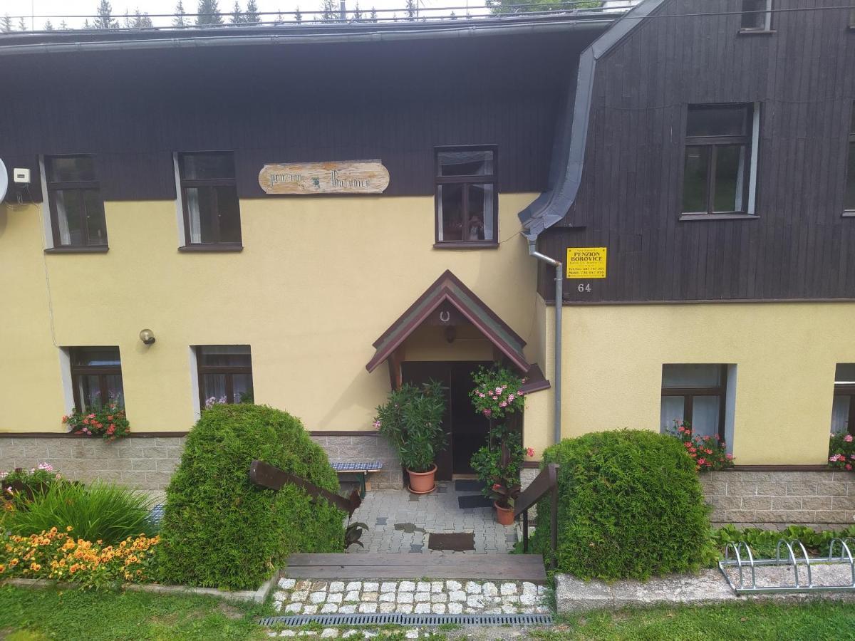 Penzion Borovice Josefův Důl Buitenkant foto