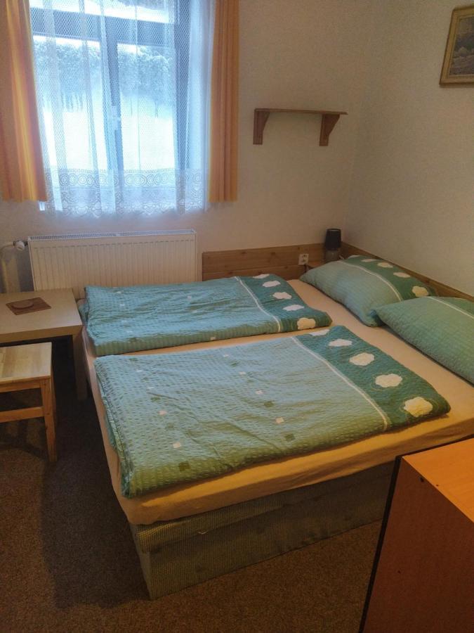 Penzion Borovice Josefův Důl Buitenkant foto