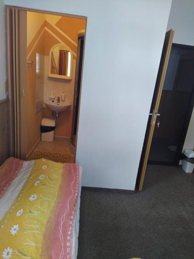 Penzion Borovice Josefův Důl Buitenkant foto