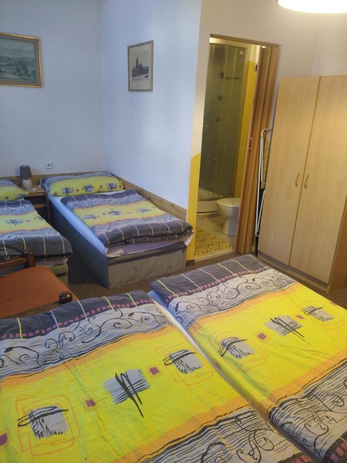 Penzion Borovice Josefův Důl Buitenkant foto