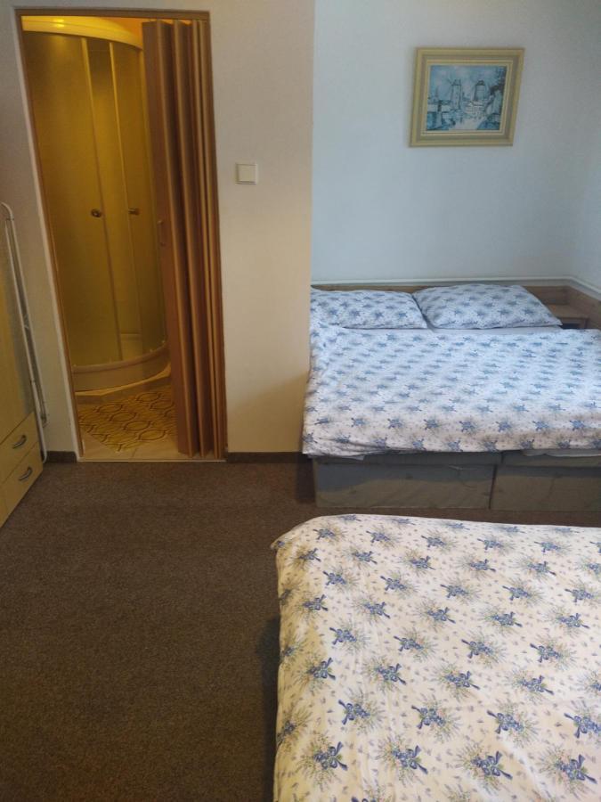Penzion Borovice Josefův Důl Buitenkant foto