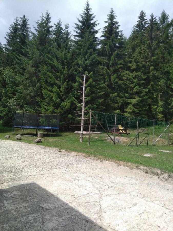 Penzion Borovice Josefův Důl Buitenkant foto